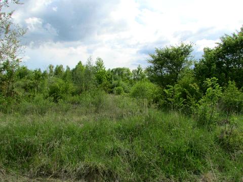 участок по адресу Січових Стрільців