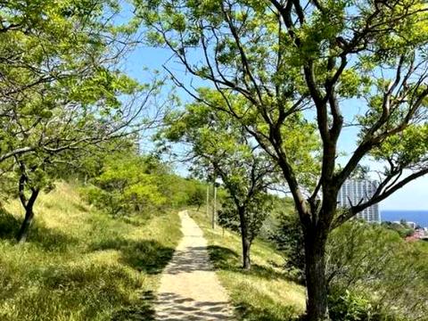 квартира по адресу Литературная ул., 1а