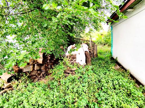 будинок за адресою Миру, 69