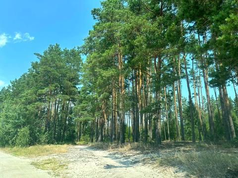 дом по адресу лінія