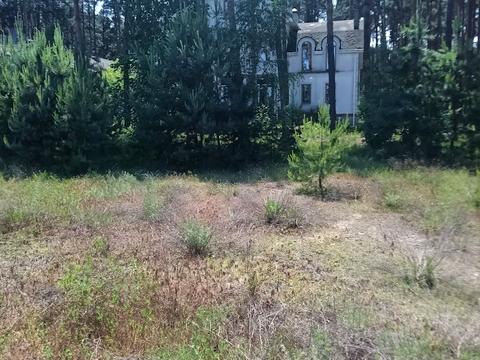 дом по адресу Вишнёвая ул.