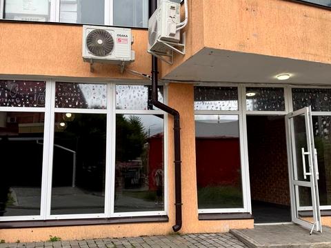 комерційна за адресою Панаса Мирного вул., 19а