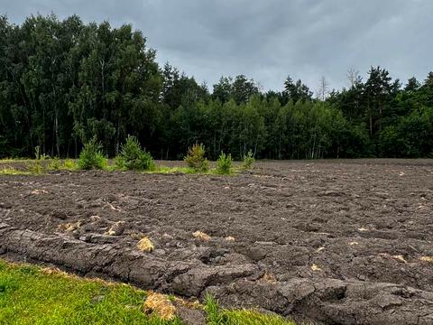участок по адресу с. Мотовиловка, 