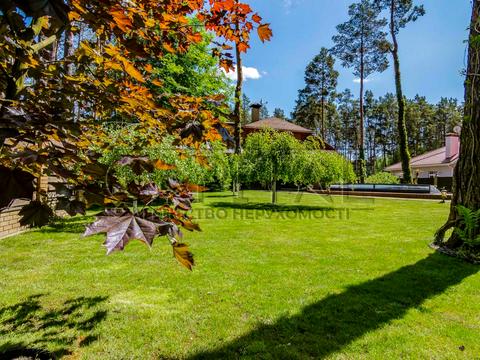 дом по адресу Білогородка