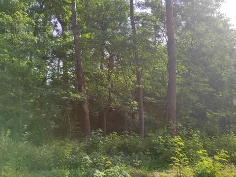 ділянка за адресою Котляревського