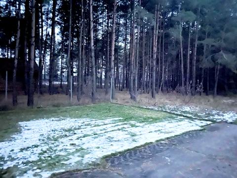 ділянка за адресою с. Кийлів, Березова, 1
