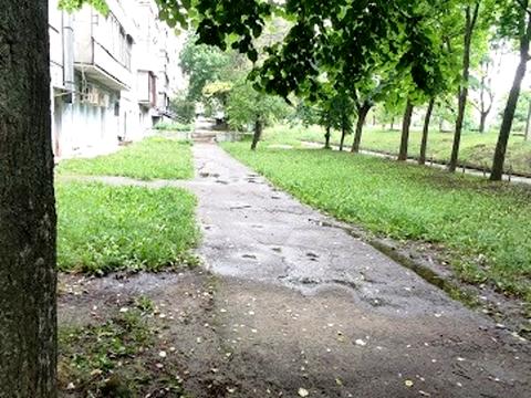 квартира по адресу Льва Ландау просп. (50-летия СССР), 16