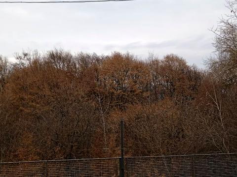 дом по адресу Дачний масив