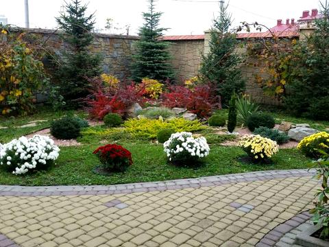 будинок за адресою Лесі Українки