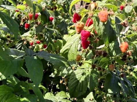 будинок за адресою Івана Франка вул.