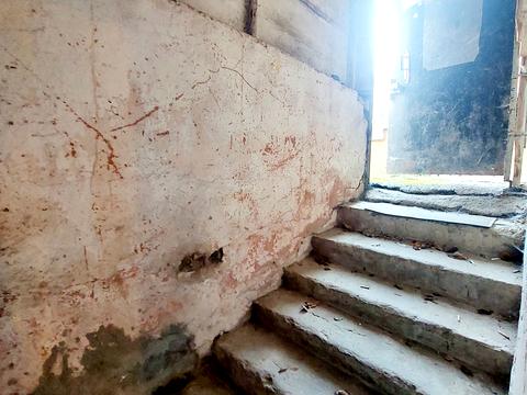 комерційна за адресою Зелена вул., 113