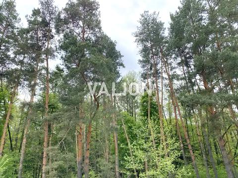 будинок за адресою с. Осикове, Мазепи, 36