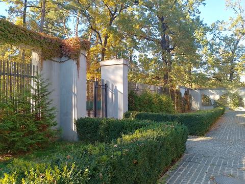 будинок за адресою Тячівський пров. (Тургенєва)