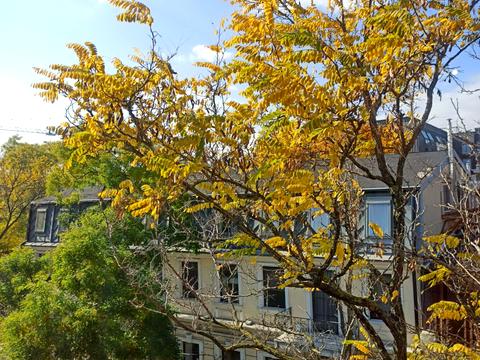 квартира за адресою Троїцька вул., 6