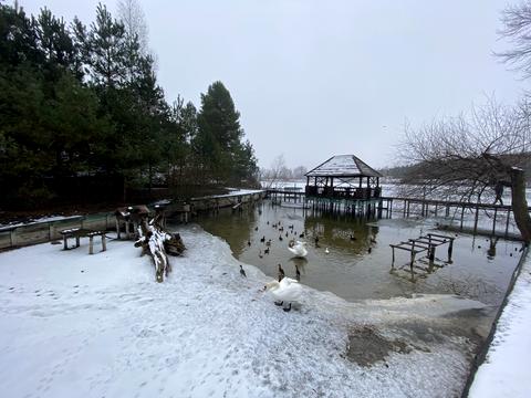 будинок за адресою Рильського