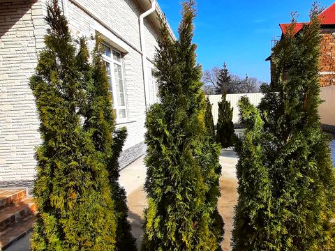 дом по адресу Алексея Вадатурского ул. (Маршала Малиновского)