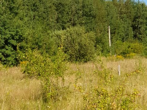 участок по адресу Олиевка