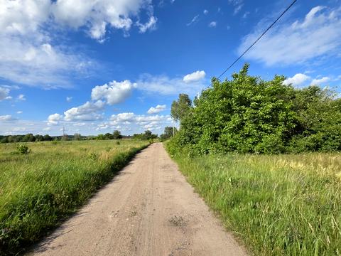 участок по адресу с. Княжичи, Берегова