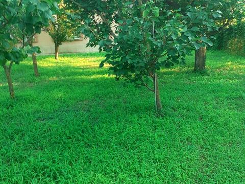 дом по адресу садов 156