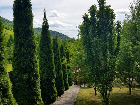 будинок за адресою с. Косівська поляна, без вулиці, 279А