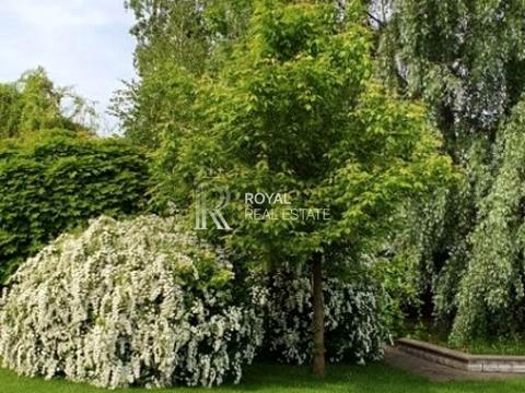 будинок за адресою Центральна