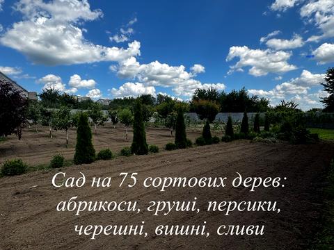 дом по адресу Сонячна
