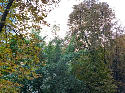 квартира за адресою Костя Гордієнка пров., 3