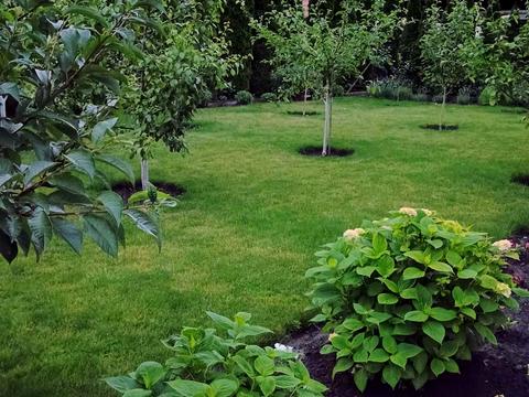 будинок за адресою Підгай вул., 7