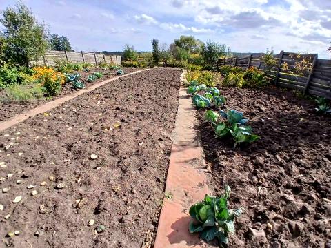 ділянка за адресою 6-та Лінія вул.