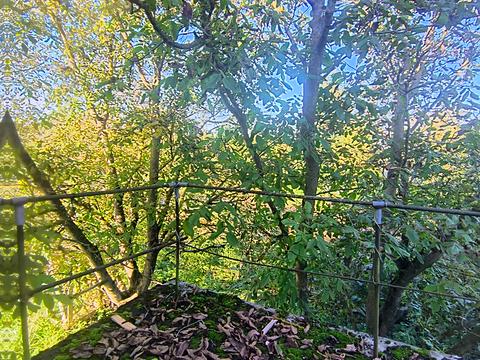 будинок за адресою Центральна