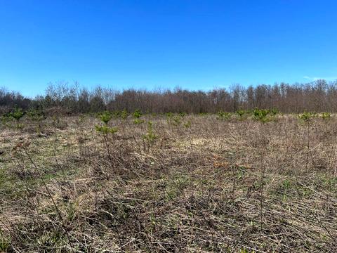 участок по адресу 