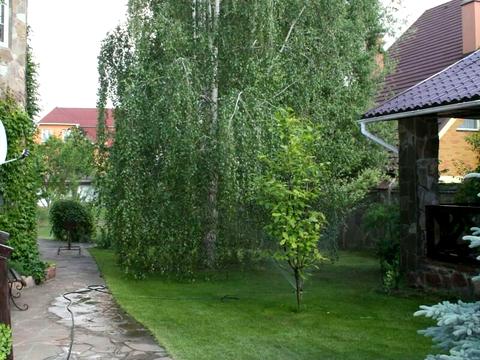 будинок за адресою лесная, 10