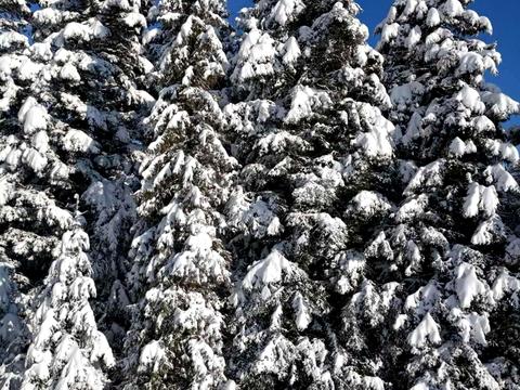 будинок за адресою Бориславська вул., 21