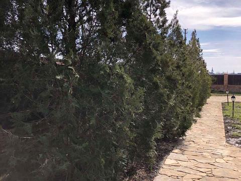 дом по адресу Андрія Болтушенко, 25в