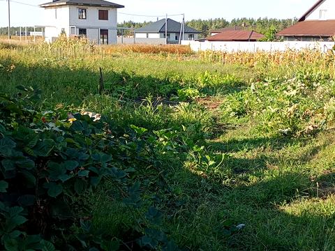 участок по адресу 