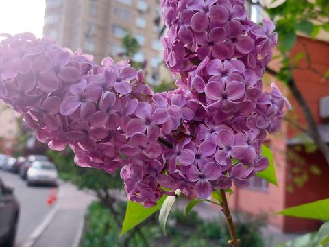 квартира за адресою Микільсько-Слобідська вул., 6-В