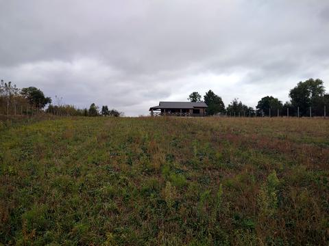 ділянка за адресою с. Корделівка, 
