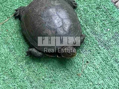 будинок за адресою Паламарчука вул.