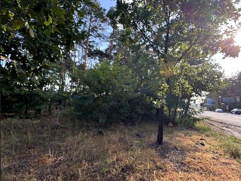 участок по адресу Гостомельське шосе