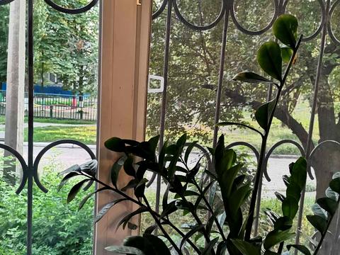 квартира по адресу Гвардейцев-Широнинцев ул., 5в