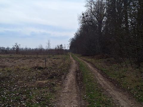 ділянка за адресою с. Бохоники, Гагаріна вул.