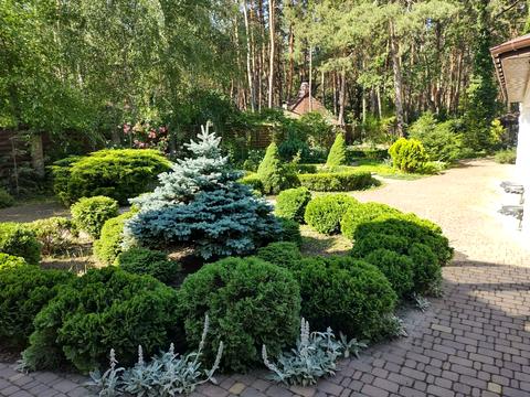 дом по адресу Лісова, 13