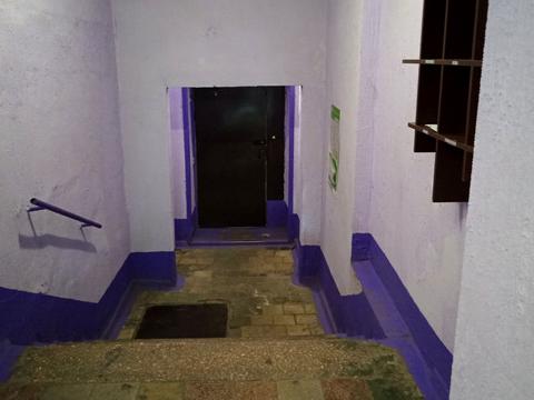 квартира по адресу Пищевая ул., 72