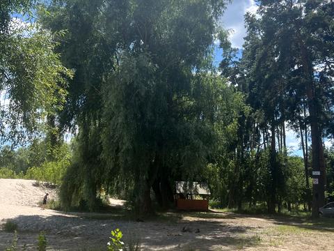 ділянка за адресою с. Бобриця, Козацька вул. (Леніна), 98