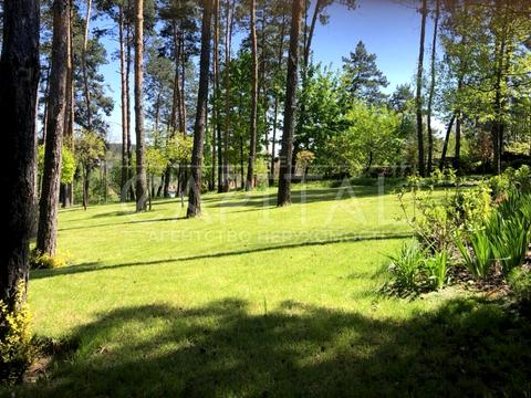 ділянка за адресою с. Ходосівка, Центральна