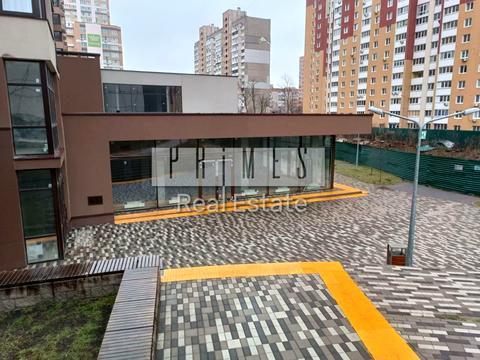 коммерческая по адресу Олександра Олеся ул., 2п