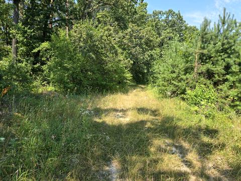 ділянка за адресою Орлова