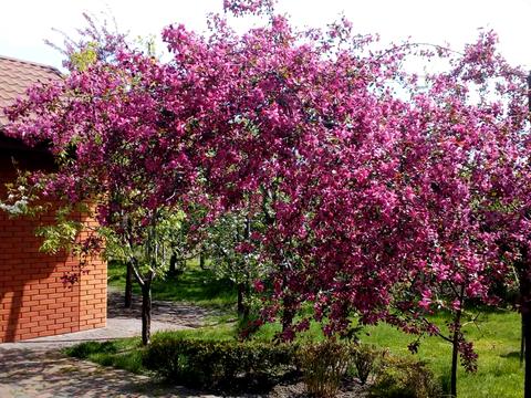 будинок за адресою Нахімова