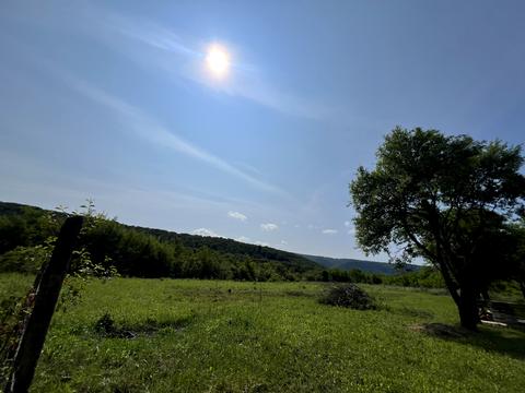 участок по адресу с. Гута, Грінкова сливки