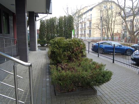 комерційна за адресою Кам'янецька вул., 1